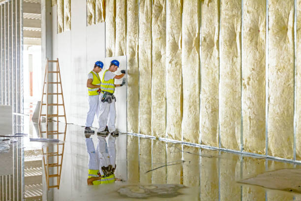 Best Commercial Insulation in Martinsvle, IL